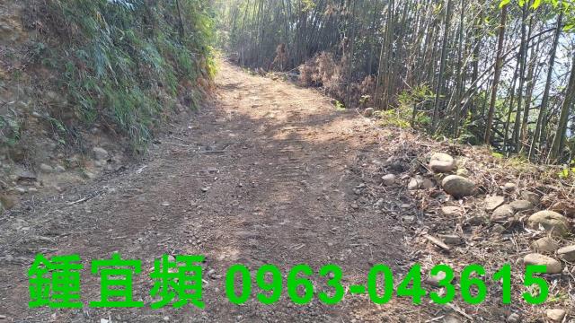 新竹山坡地-1