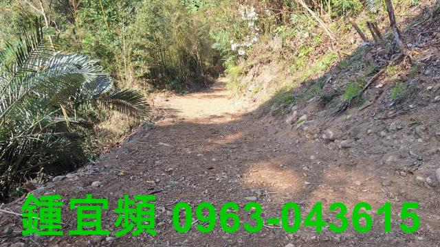 新竹山坡地-2