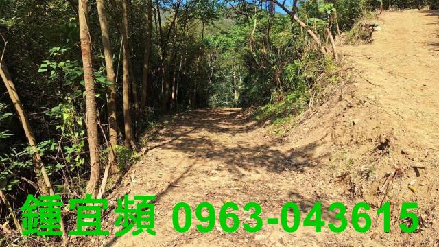 新竹山坡地-4