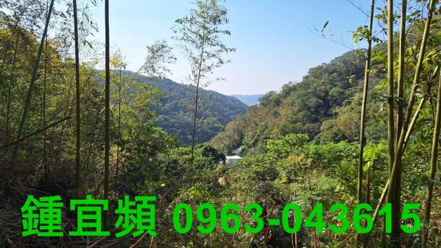新竹山坡地-6