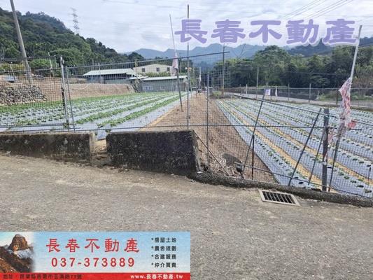 苗栗農地-2