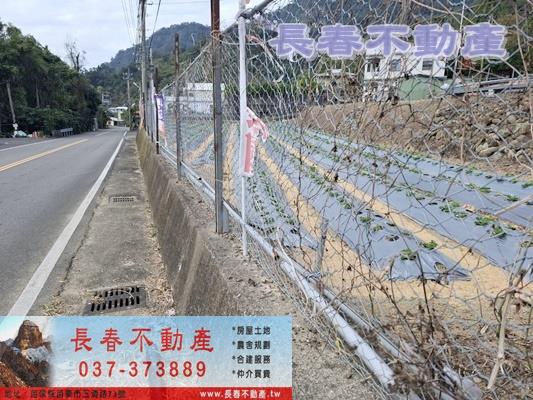 苗栗農地-5
