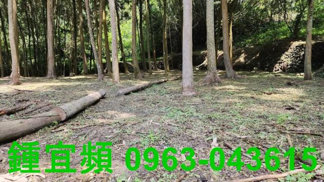 新竹北埔農地-10