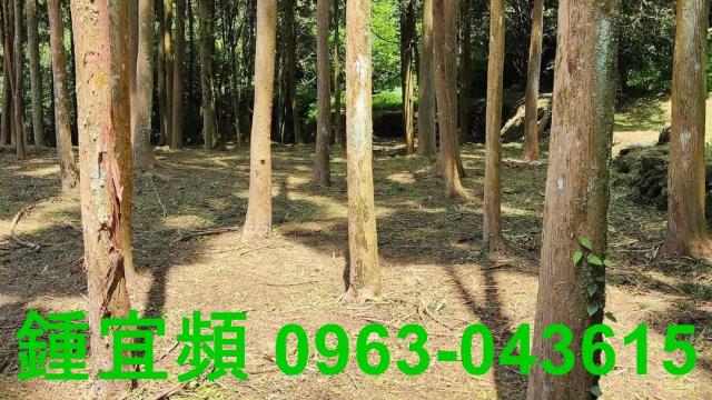 新竹北埔農地-11
