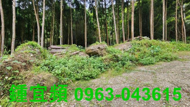 新竹北埔農地-12