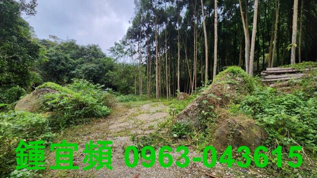 新竹北埔農地-7
