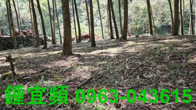 新竹北埔農地-9