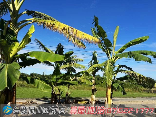 高雄永安農地-12