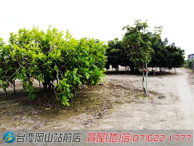 高雄永安農地-8