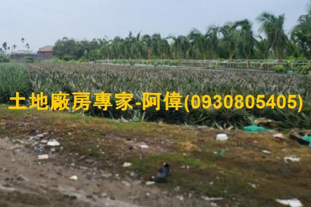 高雄仁武農地-1