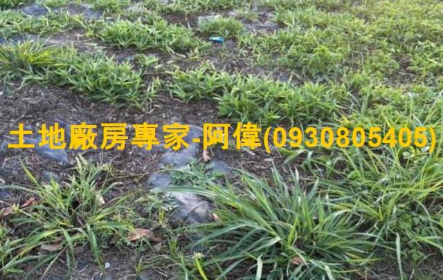 高雄岡山農地-1
