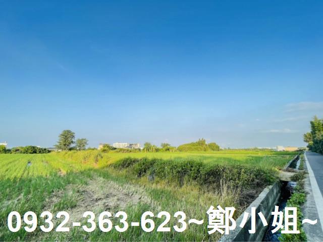 大園農地-2