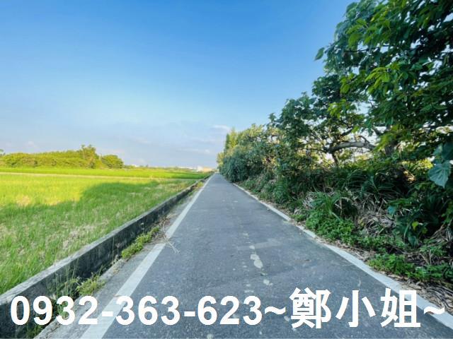 大園農地-1
