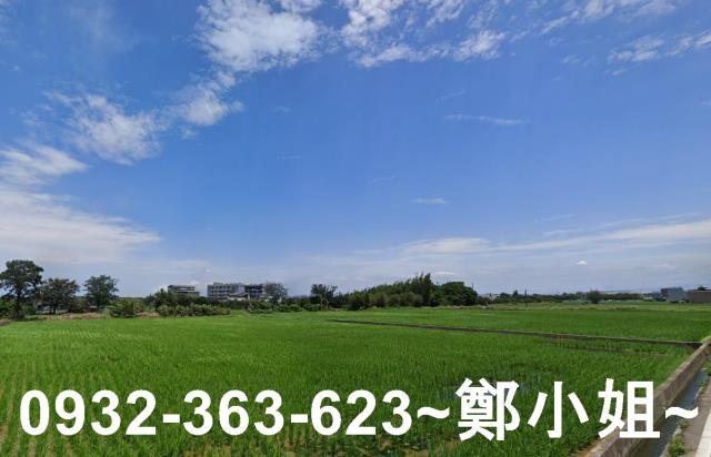 大園農地-5