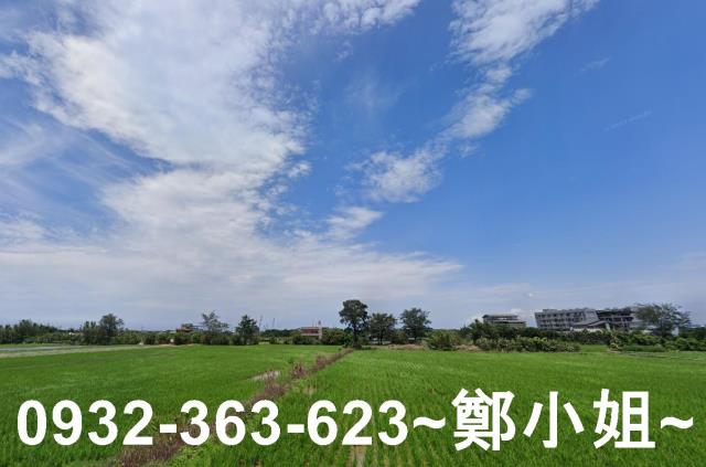 大園農地-7