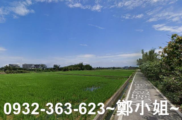 大園農地-8