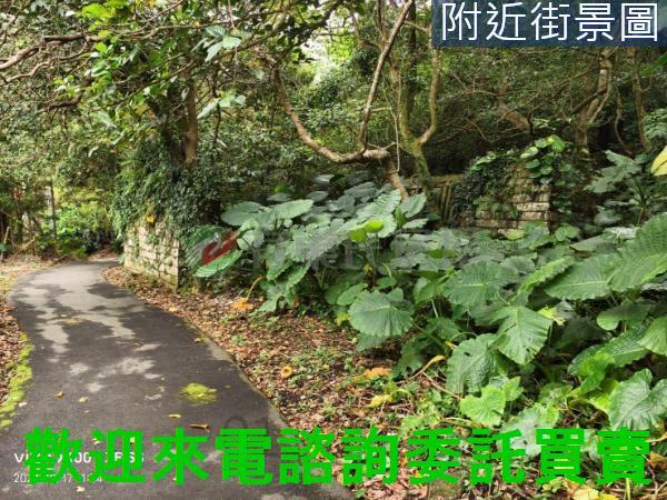 淡水建地-2