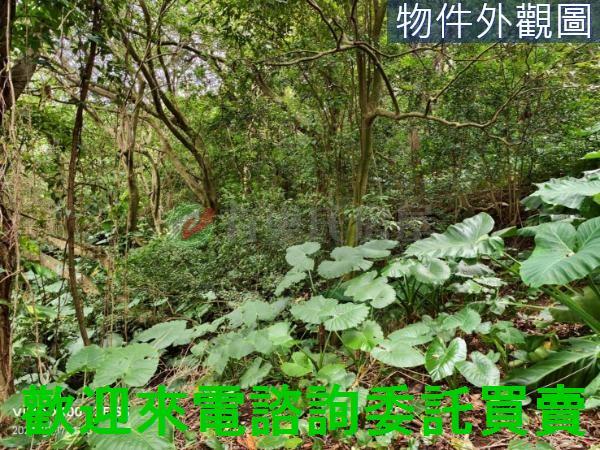 淡水建地-7