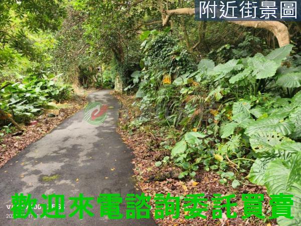 淡水建地-9