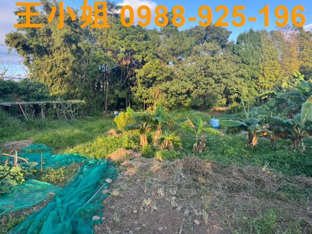 桃園蘆竹農地-10