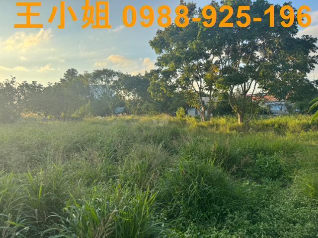 桃園蘆竹農地-11