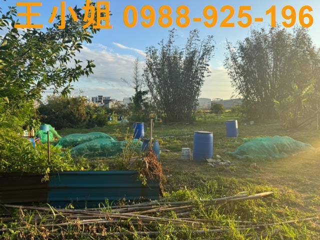 桃園蘆竹農地-3