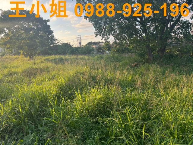 桃園蘆竹農地-6