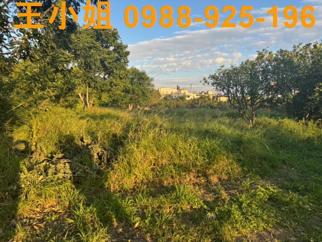 桃園蘆竹農地-9