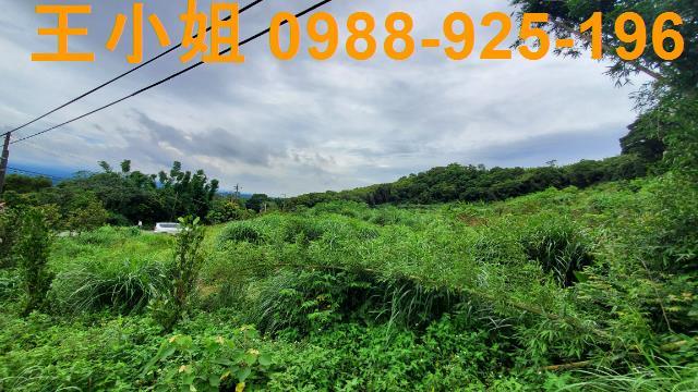 桃園龍潭農地-10