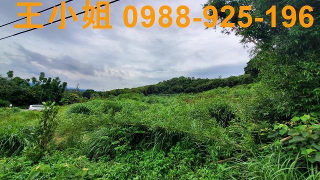 桃園龍潭農地-11