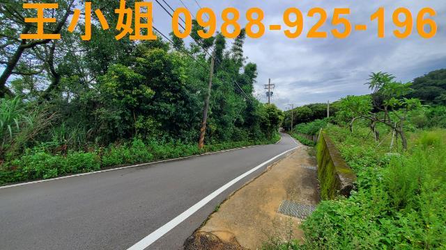 桃園龍潭農地-1