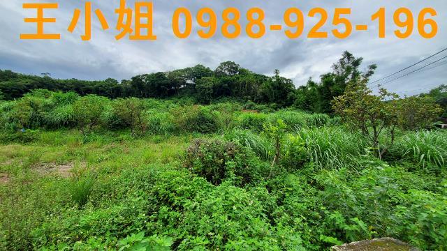 桃園龍潭農地-7