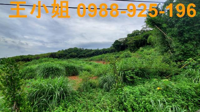 桃園龍潭農地-8