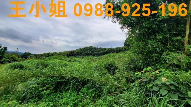 桃園龍潭農地-9
