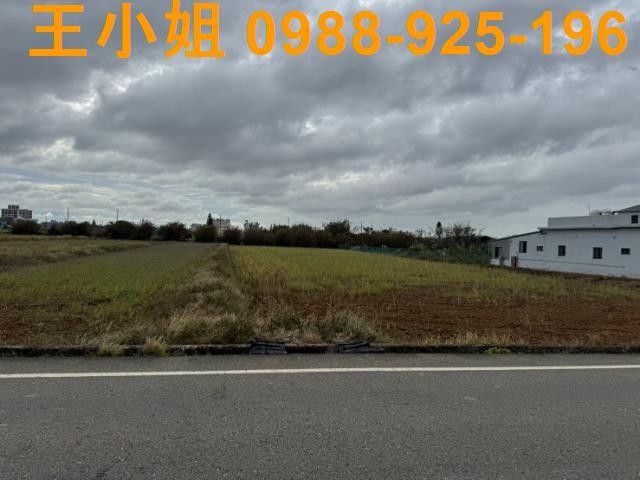 桃園新屋農地-11