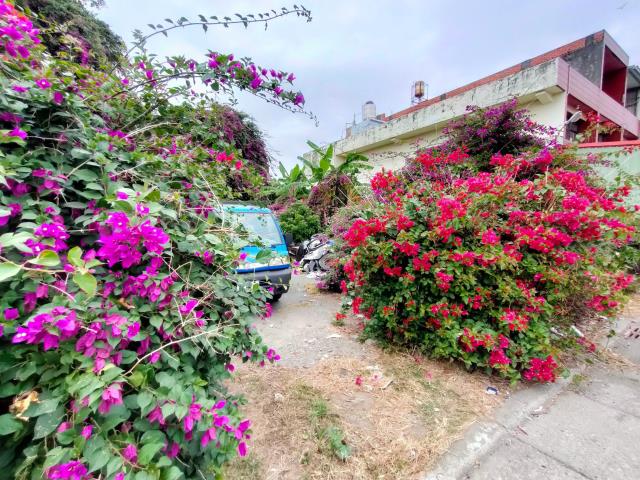 溪湖農地-5