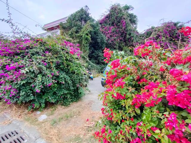 溪湖農地-6