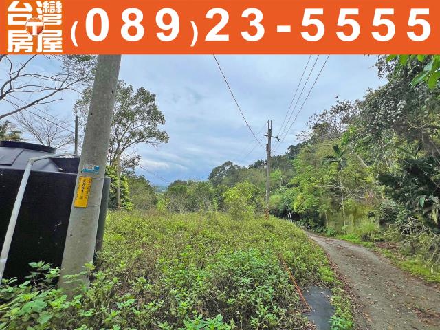台東台東市農地-3