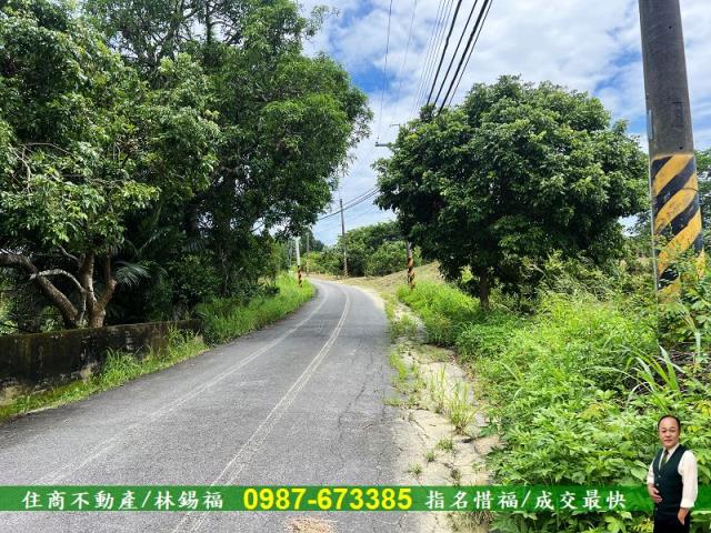 台南左鎮農地-1