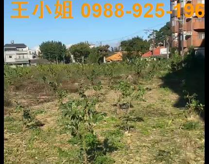 桃園大溪農地-4