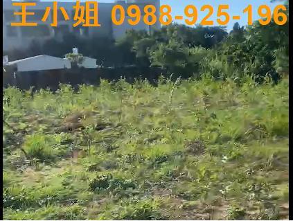 桃園大溪農地-6