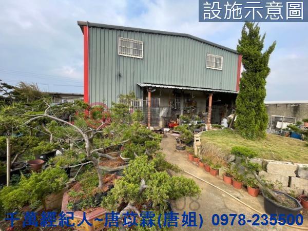 桃園新屋農地-11