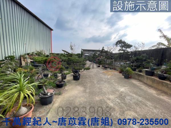 桃園新屋農地-12