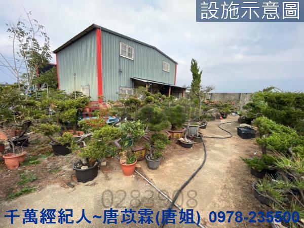 桃園新屋農地-1
