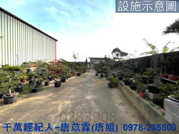 桃園新屋農地-2