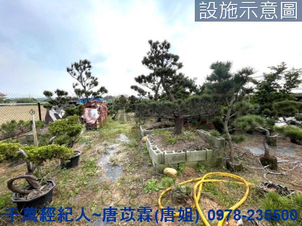 桃園新屋農地-4