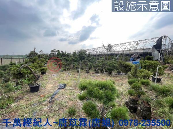桃園新屋農地-5