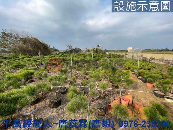 桃園新屋農地-6