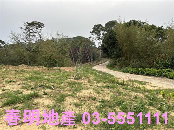 寶山農地-1