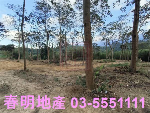 寶山農地-2